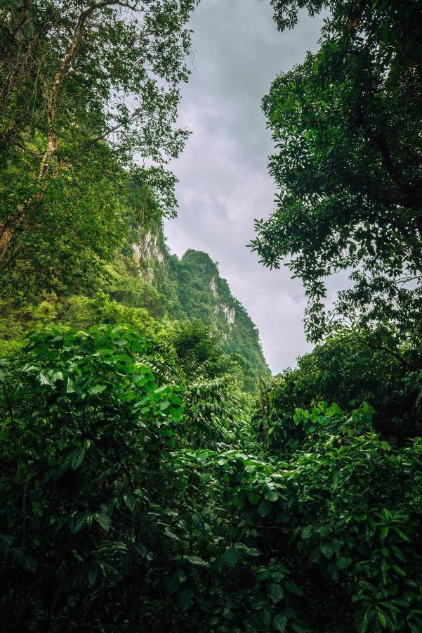 Отель Our Jungle House Khao Sok National Park Экстерьер фото