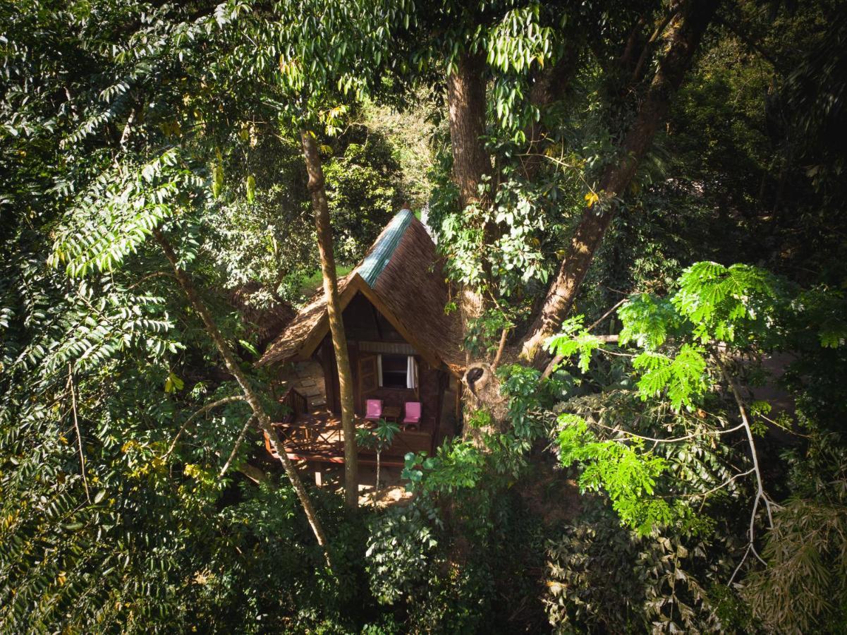 Отель Our Jungle House Khao Sok National Park Экстерьер фото