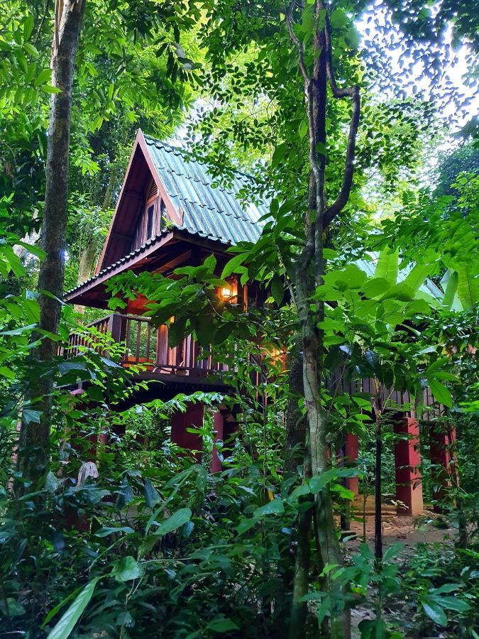 Отель Our Jungle House Khao Sok National Park Экстерьер фото